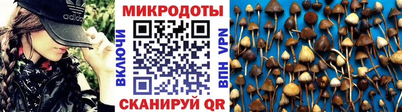 Псилоцибиновые грибы ЛСД Талица